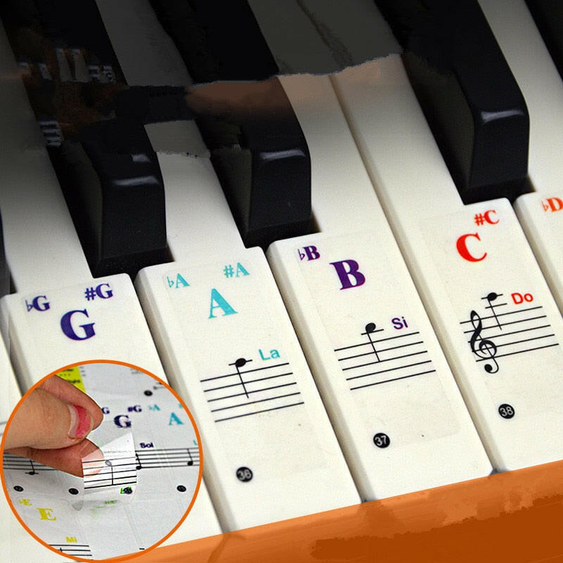 49/54/61/88 color Transparent Piano Keyboard Stickers Electronic Keyboard Key Piano Stave Note Sticker Symbol for White Keysơ' yuhuv test3333 yuhuv test.